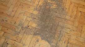 Quality repairs of parquet floors | Floor Sanding Professionals