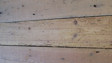 Best floorboard repairs in London | Floor Sanding Professionals