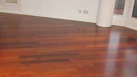 Professional wood floor staining | Floor Sanding Professionals